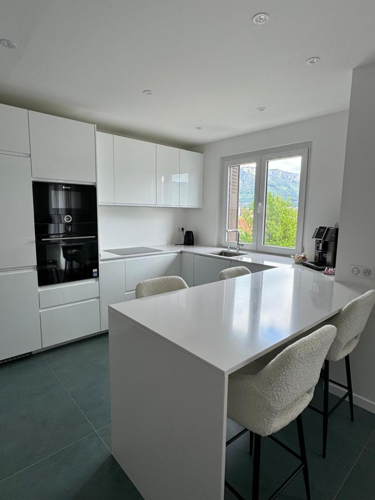 Modern Green & White - Apartments T3 60M2 Annecy - Parking Prive - Wifi - Netflix المظهر الخارجي الصورة